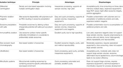 Exosomes: Biological Pharmaceutical Nanovectors for Theranostics